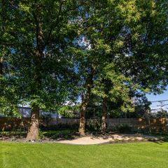 20200606 T Klein Geluk 004