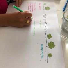 231844227 1449403092119195 193717123488674495 n